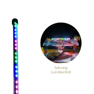 Đèn bể cá cảnh Đèn led chìm dành cho hồ cá cảnh