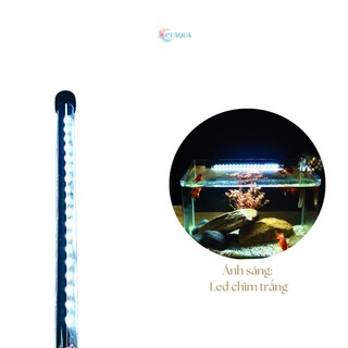 Đèn bể cá cảnh Đèn led chìm dành cho hồ cá cảnh