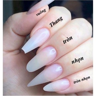 Nail box móng giả thiết kế hạt ngọc và đá