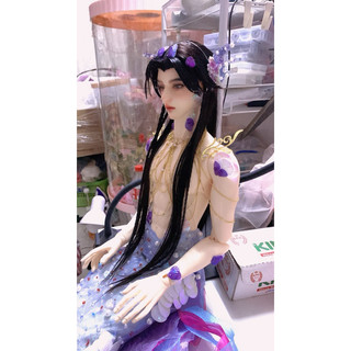 Búp bê boy BJD 1/3 rc