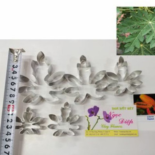 Khuôn cắt lá đu đủ, 5 size lá lớn nhỏ ( mẫu lá đẹp)