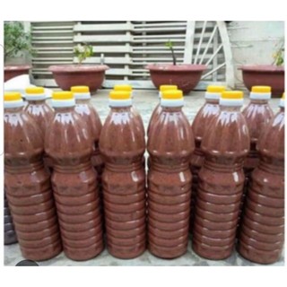 1 lít MẮM TÉP ngon nhà làm