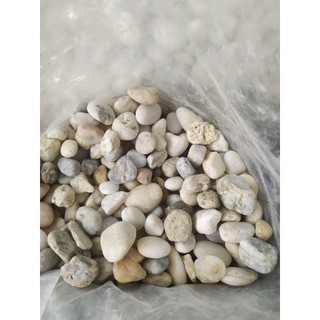 Sỏi biển thiên nhiên viên lớn (1-3cm) 1kg trang trí bể cá,sân vườn ,....
