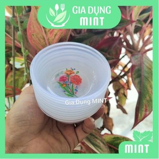 Combo 10 Chén nhựa  trắng dẻo trong suốt đựng nước chấm, nước mắm,gia vị