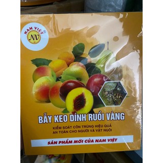 10 miếng dán bẫy ruồi vàng siêu dính