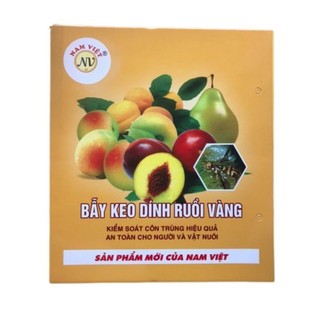 10 miếng dán bẫy ruồi vàng siêu dính