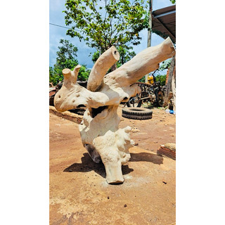 Lũa gỗ decor tiểu cảnh cực đẹp - ship hỏa tốc tphcm