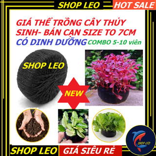 Combo 5-10 viên Giá thể trồng cây thủy sinh, cây bán cạn -Giá thể cắm cây thủy sinh tiện lợi