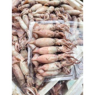 Mực sim hấp sẵn 1kg (giao tphcm)