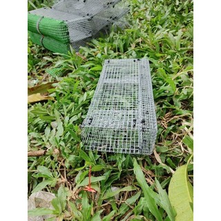 Combo 5 lồng bẫy rắn mối cải tiến giá gốc không rỉ sét