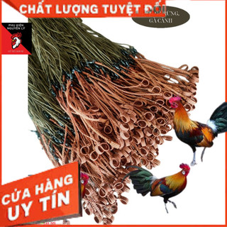 Xích chân gà mồi, xích chân gà rừng, xích chân gà cảnh bao bền bao đẹp