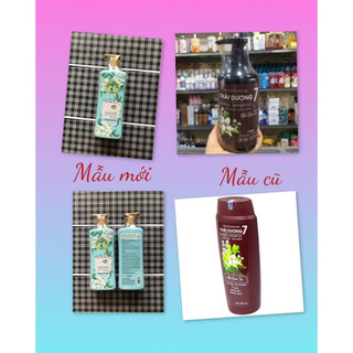 dầu gội dược liệu Thái Dương 7 - chinhs hãng