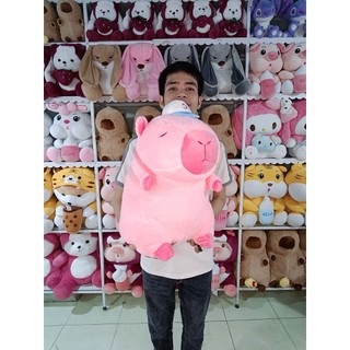 Gấu Bông Capybara Hồng Đủ Size