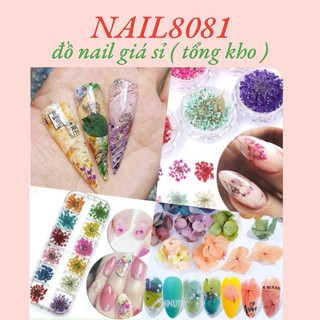 Hoa khô trang ẩn gel móng , khay 12 màu