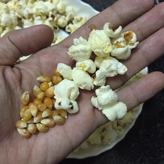 Bắp khô rang bơ - bắp hạt nổ