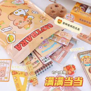 TÚI QUÀ BẤT NGỜ CAPY BARA