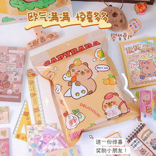 TÚI QUÀ BẤT NGỜ CAPY BARA