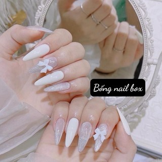 Nail box thiết kế móng úp B16