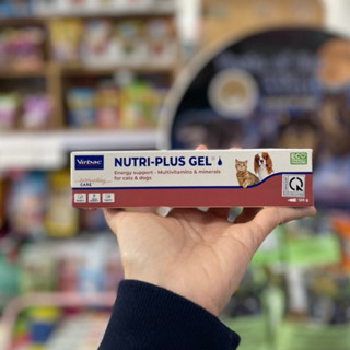  Nutri Plus Gel dinh dưỡng cho Chó Mèo 