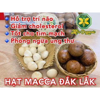 Hạt macca sấy 0.5kg - mộc organic