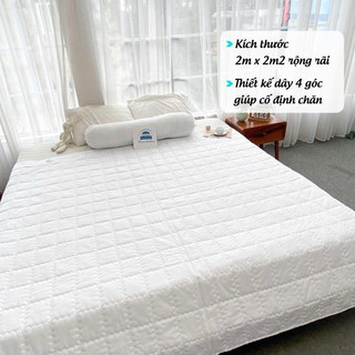 Ruột Chăn Hè Trắng, Lõi Chăn Trần Bông Tấm kích thước (2mx2m2)