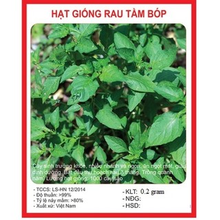 Hạt giống cây rau tầm bóp-gói 0,2 gram