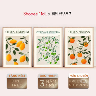 Tranh treo tường SET3 của REICHTUM - Decor phòng ngủ chill/ Canvas/ Tráng gương/ Chất vải bền bỉ