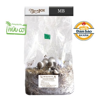 Mycobox, mb nấm rơm túi, trồng nấm