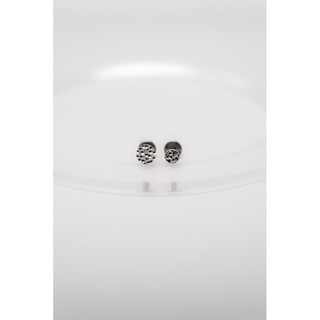Khuyên tai Titanium Hammer Disk Labret