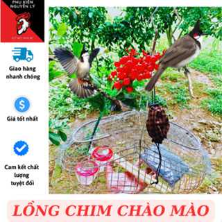 Lồng bẫy chim chào mào, chòe chất liệu INOX tặng kèm phụ kiện