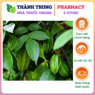 Lá khế tươi - lá khế chua - 250g/phần - ship từ tp.hcm