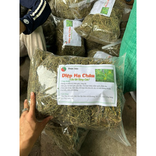 1kg diệp hạ châu loại 1