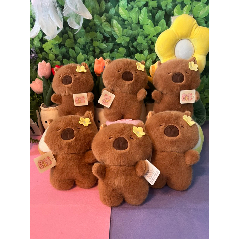 thú bông capybara cài hoa