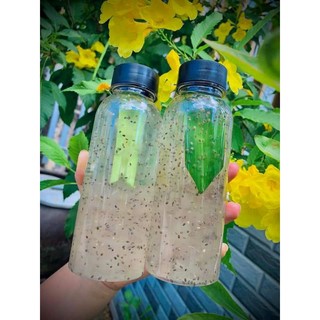 500g Hạt chia úc/Hạt chia đen