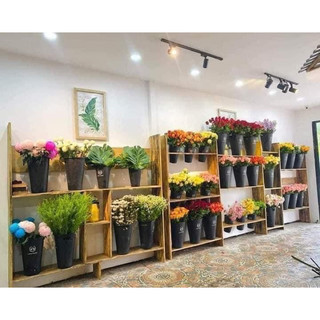 Xô nhựa bày hoa tươi, hoa lụa