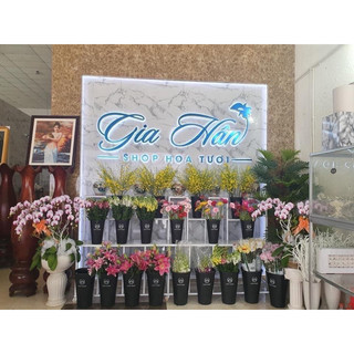Xô nhựa bày hoa tươi, hoa lụa