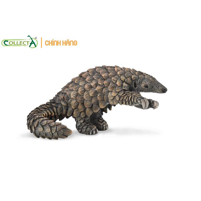 Mô hình động vật: Tê Tê ( Chính hãng)