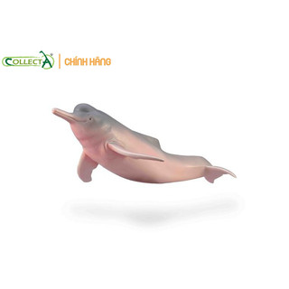 Mô hình động vật: Cá Heo Sông Amazon