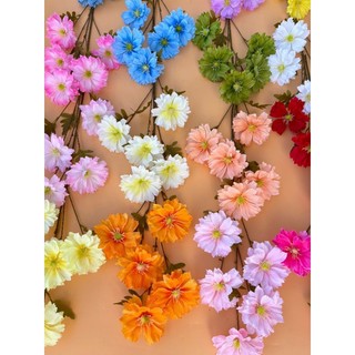 Cành cúc bướm 5 bông size đại 11cm