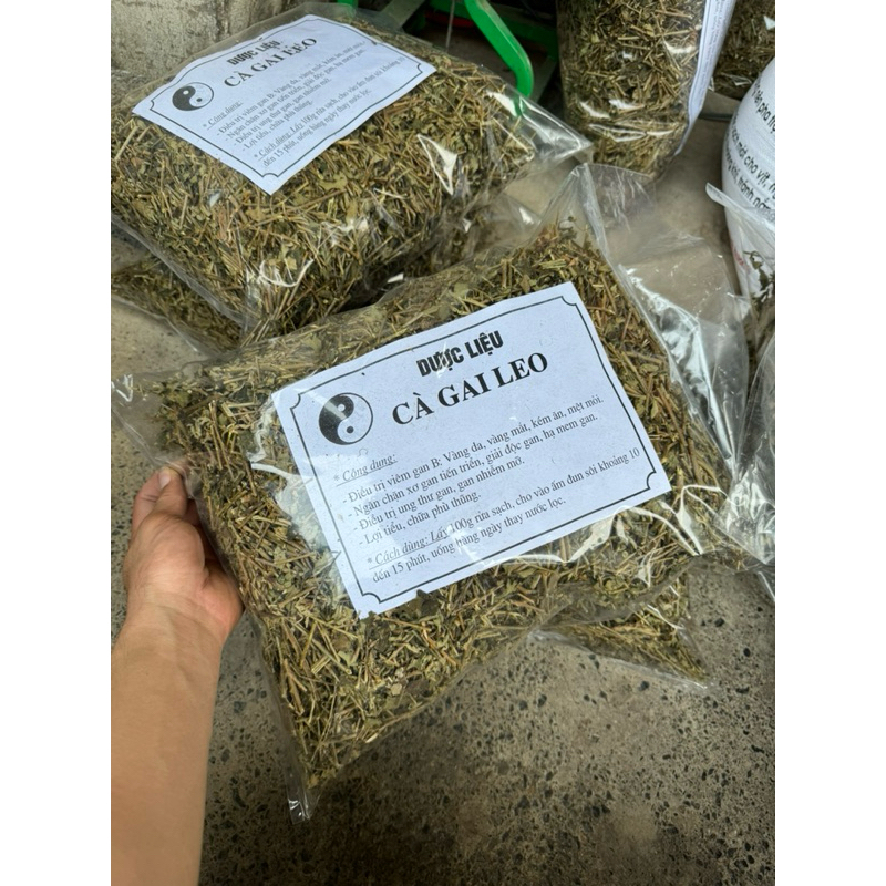 Cà Gai Leo Khô 1KG Nguyên Chất 100% – Giải Độc Gan, Hỗ Trợ Giảm Men Gan, Uống Thay Nước Hàng Ngày