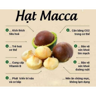hạt Macca sấy khô nứt vỏ