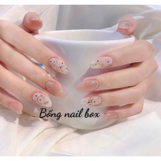 Nail box thiết kế móng úp B07