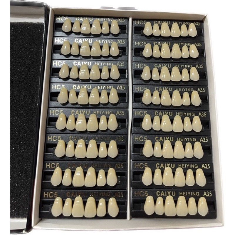 RĂNG NHỰA THÁO LẮP VỈ 6R, 8R (HỘP RIÊNG RĂNG CỬA, RĂNG HÀM)