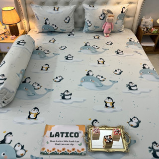 Mẫu Cánh cụt. Bộ ga giường thun Latico siêu lạnh Lụa (áo gối ôm khoá kéo)