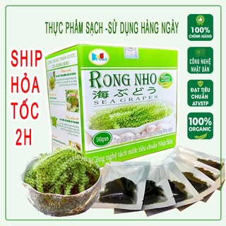 RONG NHO HỘP 12 GÓI/240G - SEA GRAPES N.FOOD - THANH MÁT - GIẢI NHIỆT
