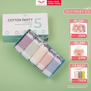 Combo 5 quần lót cotton trơn kháng khuẩn VINGO CB88 VNGO
