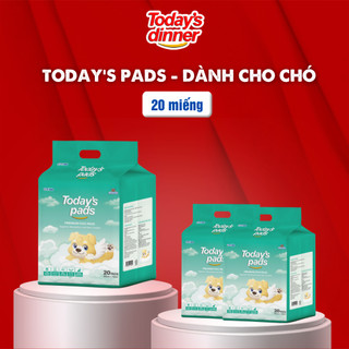 Miếng lót vệ sinh dành cho chó Today's Pads