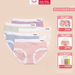 Combo 5 quần lót cotton trơn kháng khuẩn VINGO CB80 VNGO