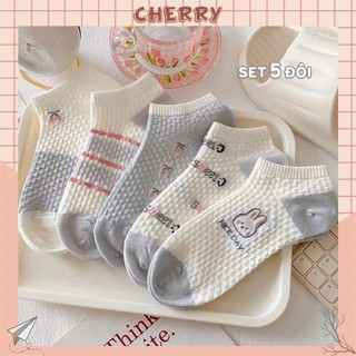 Tất nữ cổ ngắn phong cách Hàn Quốc, sét 5 đôi vớ dễ thương - Cherry Shop