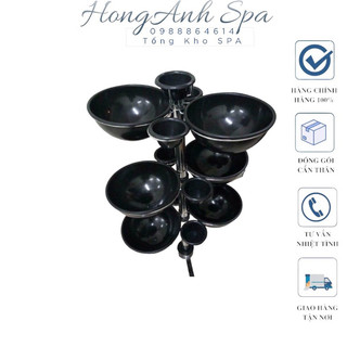Cây bát nước Spa